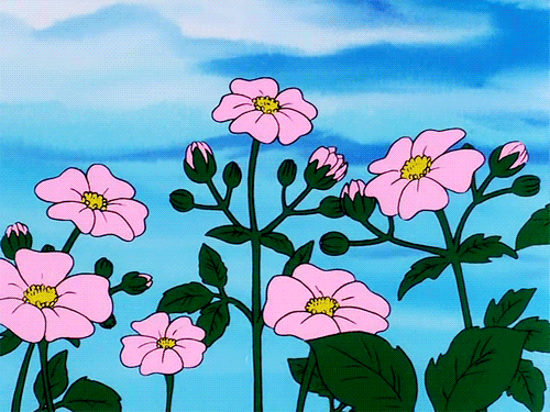 4 (500x375, 773Kb)