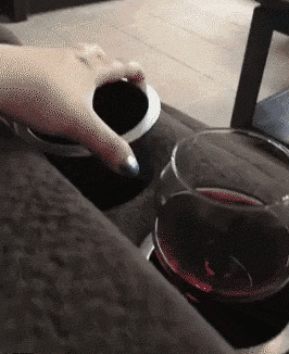 GIF-доказательство, что коты - чертовски весёлые ребята GIF коты юмор