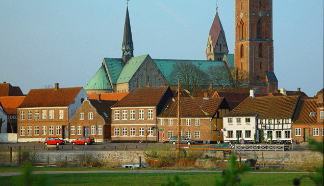 DESD01-Self-Drive-Denmark.gif