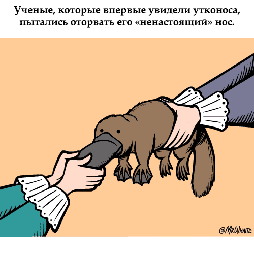 Занимательная зоология