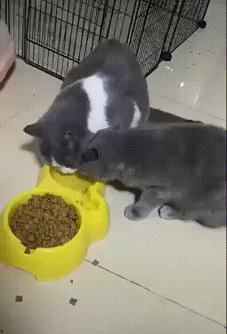 10 гифок выходных