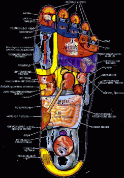 Китайская медицина. Атлас активных точек.  Лечебный самомассаж.