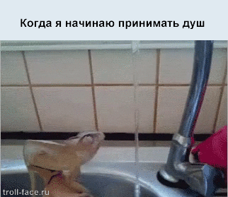 Блоги. Жизненные ситуации в подборке гифок Блоги. Жизненные ситуации в подборке гифок