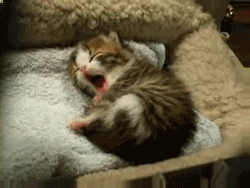 Короткие стишки