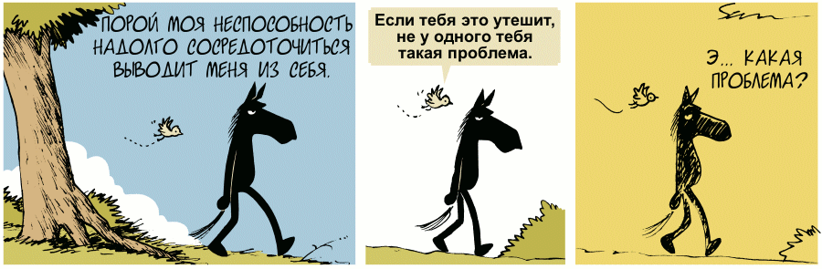 Пашу как лошадь смешные картинки