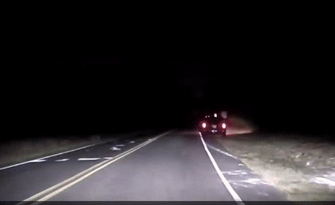 What happened next was a full on post-crash smackdown between a deer and human.